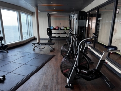 Sky Princess Fitness Center picture