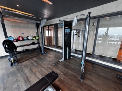 Sky Princess Fitness Center picture