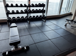 Sky Princess Fitness Center picture