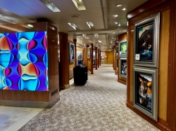 Caribbean Princess Arts Gallery picture Uploaded in 2026 Photo courtesy of Karen Langlois. Caribbean Princess Arts Gallery picture