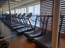 Costa Smeralda Gym picture Uploaded in 2026 Photo courtesy of Albert Rausch. Costa Smeralda Gym picture