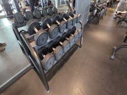 MSC World Europa MSC Gym picture Uploaded in 2026 Photo courtesy of Albert Rausch. MSC World Europa MSC Gym picture