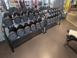 MSC Gym picture