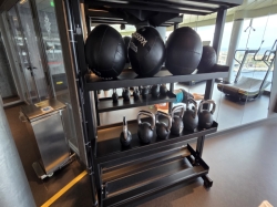 MSC World Europa MSC Gym picture