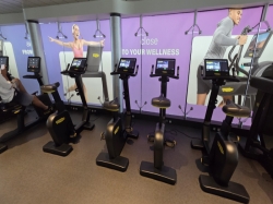 MSC Gym picture