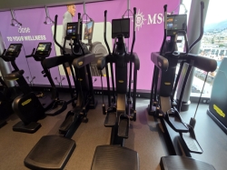 MSC Gym picture