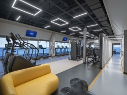 MSC Gym picture