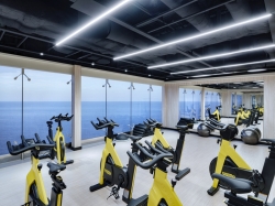 MSC Gym picture