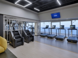 MSC Gym picture