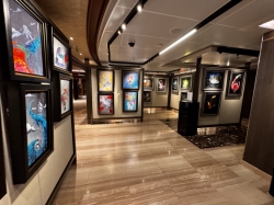 Sky Princess Fine Art Gallery picture