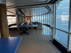 Sky Princess SeaWalk picture