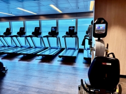 Sky Princess Fitness Center picture