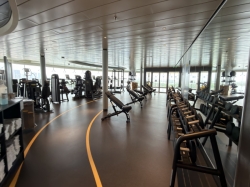 MSC Gym picture MSC Gym picture