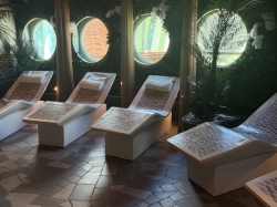 Disney Wish Senses Spa and Fitness picture