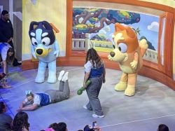 Disney Wish Hero Zone picture