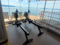 MSC Gym picture MSC Gym picture