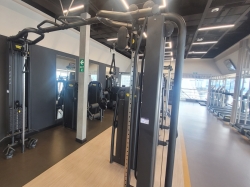 MSC Gym picture MSC Gym picture