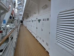 Nieuw Statendam Promenade Deck picture Uploaded in 2026 Photo courtesy of Celeste Agnew. Nieuw Statendam Promenade Deck picture