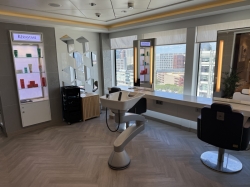 Salon picture