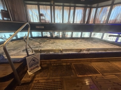 Thalassotherapy Pool picture Thalassotherapy Pool picture
