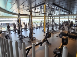 MSC Gym picture