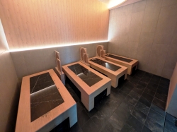 MSC Aurea Spa picture MSC Aurea Spa picture