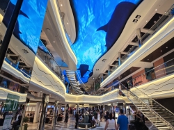 MSC World America World Galleria picture Uploaded in 2026 Photo courtesy of Michael Soden. MSC World America World Galleria picture
