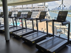 MSC Gym picture