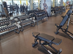 MSC Gym picture