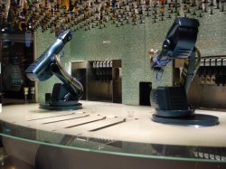 Quantum of the Seas Bionic Bar picture