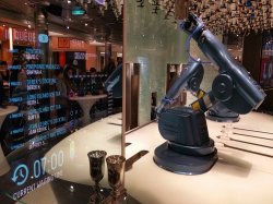 Quantum of the Seas Bionic Bar picture