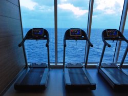 Vitality at Sea Spa & Fitness Center picture