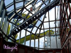 Carnival Dream The Dream Lobby picture