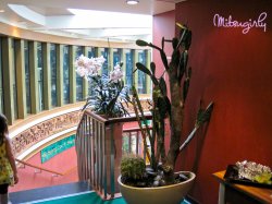 Norwegian Star Spa & Salon picture