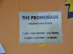 Norwegian Star Promenade picture