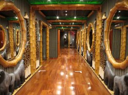 Carnival Spirit The Jungle Promenade picture