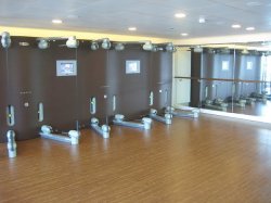 Oceania Marina Canyon Ranch Spa Club picture