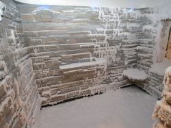 Snow Room picture
