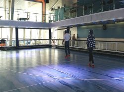 Anthem of the Seas SeaPlex picture