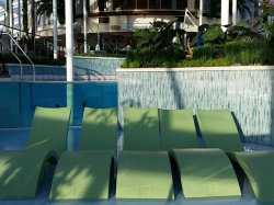 Anthem of the Seas Solarium picture