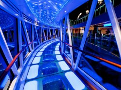 Regal Princess SeaWalk picture