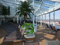 Anthem of the Seas Solarium picture