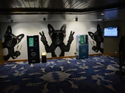 Pacific Eden Atrium picture