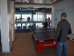 Anthem of the Seas SeaPlex picture