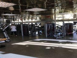 Carnival Inspiration Gymnasium picture Uploaded in 2016 Photo courtesy of Tracy Spinella. Carnival Inspiration Gymnasium picture