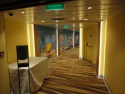Ovation of the Seas Adventure Ocean picture
