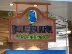 Blue Iguana Cantina picture