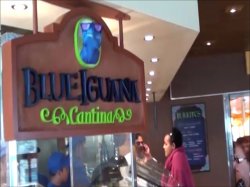 Carnival Vista Blue Iguana Cantina picture