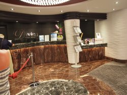 MSC Divina Divina Reception picture
