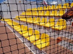 MSC Divina MSC Sports Arena picture